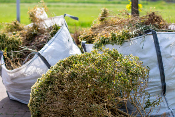 Best Property Management Cleanouts  in Seymour, WI