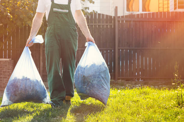 Best Basement Cleanout  in Seymour, WI