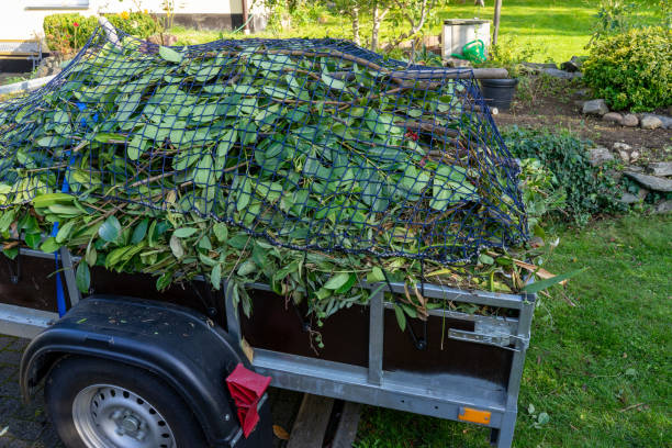 Best Scrap Metal Removal  in Seymour, WI